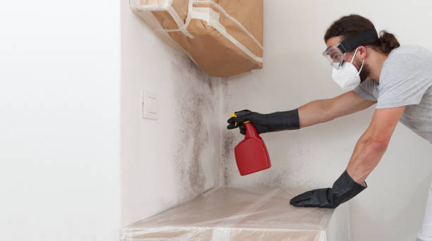 Professional Bathroom Mold Removal technician working in Far Hills, NJ