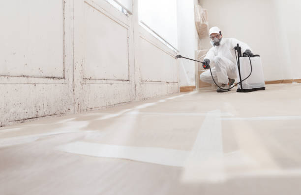 24/7 Emergency Bathroom Mold Removal experts in Far Hills, NJ